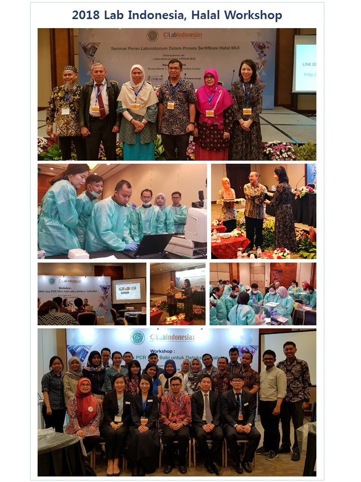 Workshop%20Image.jpg